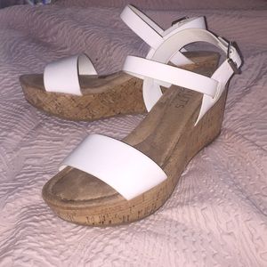 • Coconuts by Matisse • Wedges